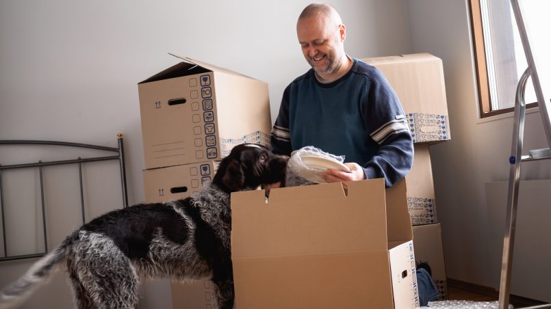 Ten Terrific Things To Do Before Your Removalists Arrive