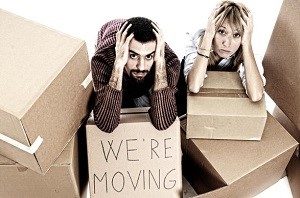 brisbane-taree-removalists