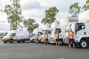 Why Choose Professional Removalists like Optimove?