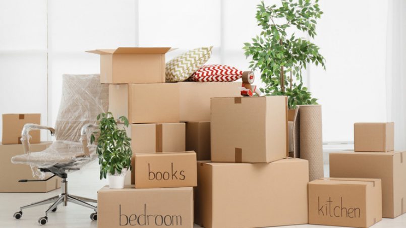 The Benefits of Working with an Experienced Removalist Company