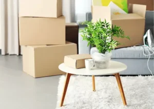 Eco-Friendly and Sustainable Moving Practices