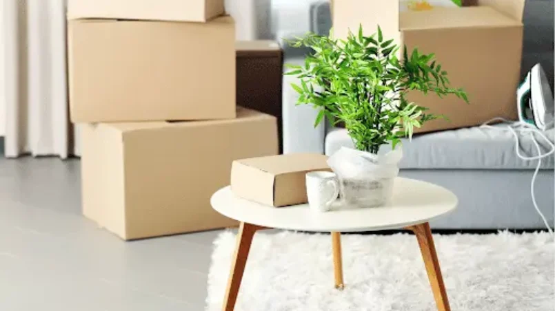 Eco-Friendly and Sustainable Moving Practices